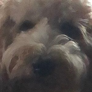 Meet your Posher, Catherine